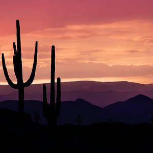 Profile picture of the testimonial giver